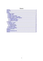 Referāts 'Pīrsingu un tetovējumu nozīme cilvēka dzīvē un to radītā ietekme uz cilvēka orga', 3.