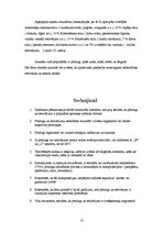 Referāts 'Pīrsingu un tetovējumu nozīme cilvēka dzīvē un to radītā ietekme uz cilvēka orga', 31.