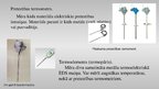 Prezentācija 'Temperatūras mērīšana. Temperatūras skalas', 10.