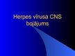 Prezentācija 'Herpes vīrusa CNS bojājums', 1.