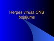 Prezentācija 'Herpes vīrusa CNS bojājums', 1.