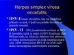 Prezentācija 'Herpes vīrusa CNS bojājums', 2.