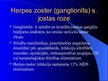 Prezentācija 'Herpes vīrusa CNS bojājums', 7.