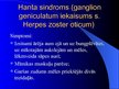 Prezentācija 'Herpes vīrusa CNS bojājums', 10.