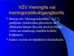 Prezentācija 'Herpes vīrusa CNS bojājums', 11.