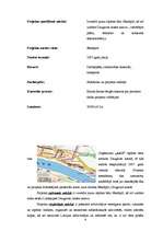 Referāts 'Projekts "Viesu nams"', 11.