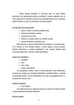 Referāts 'Projekts "Viesu nams"', 15.