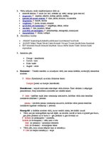 Konspekts 'Latviešu valodas gramatikas galvenās definīcijas un piemēri', 1.