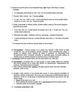 Konspekts 'Latviešu valodas gramatikas galvenās definīcijas un piemēri', 4.