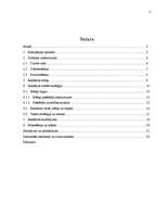 Referāts 'Reklāmas radošais plāns tipogrāfijai', 2.