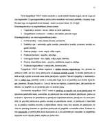 Referāts 'Reklāmas radošais plāns tipogrāfijai', 11.