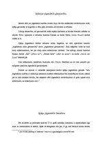 Referāts 'Jūgendstils Spānijā', 6.