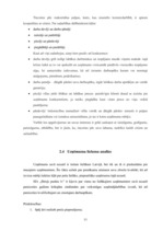 Prakses atskaite 'Prakses atskaite tirdzniecības nozarē. Interneta veikals', 13.