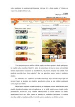 Prakses atskaite 'Prakses atskaite tirdzniecības nozarē. Interneta veikals', 17.
