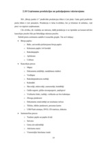 Prakses atskaite 'Prakses atskaite tirdzniecības nozarē. Interneta veikals', 21.