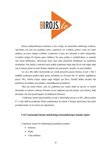 Prakses atskaite 'Prakses atskaite tirdzniecības nozarē. Interneta veikals', 27.