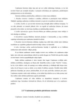 Prakses atskaite 'Prakses atskaite tirdzniecības nozarē. Interneta veikals', 28.