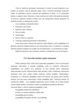 Prakses atskaite 'Prakses atskaite tirdzniecības nozarē. Interneta veikals', 31.