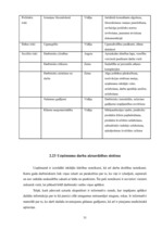 Prakses atskaite 'Prakses atskaite tirdzniecības nozarē. Interneta veikals', 33.