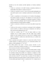 Prakses atskaite 'Prakses atskaite tirdzniecības nozarē. Interneta veikals', 37.