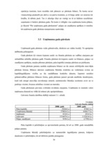 Prakses atskaite 'Prakses atskaite tirdzniecības nozarē. Interneta veikals', 38.