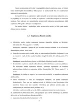 Prakses atskaite 'Prakses atskaite tirdzniecības nozarē. Interneta veikals', 39.