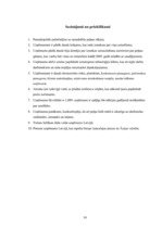 Prakses atskaite 'Prakses atskaite tirdzniecības nozarē. Interneta veikals', 41.