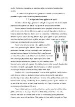 Referāts 'Lietišķa cilvēka ārējais izskats un ģērbšanās stils', 4.