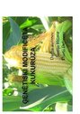 Prezentācija 'Ģenētiski modificēta kukurūza', 1.