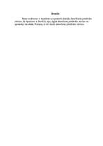 Referāts 'Datorfirmu serviss', 2.