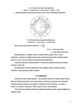 Referāts 'Speciālās sinhronās elektriskās mašīnas', 7.