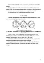 Referāts 'Speciālās sinhronās elektriskās mašīnas', 10.