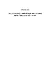 Diplomdarbs 'Uzņēmuma ienākuma nodokļa aprēķināšana, problēmas un to risinājumi', 1.