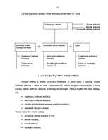Diplomdarbs 'Uzņēmuma ienākuma nodokļa aprēķināšana, problēmas un to risinājumi', 14.