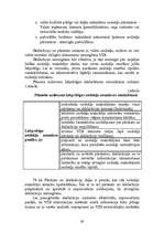 Diplomdarbs 'Elektroniskās deklarēšanas sistēmas izmantošanas iespējas un trūkumi', 29.