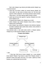 Referāts 'Vērtspapīru tirgusraksturojums', 9.