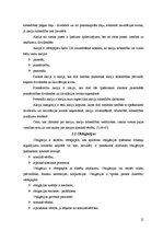 Referāts 'Vērtspapīru tirgusraksturojums', 12.