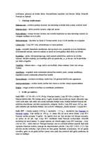 Konspekts 'Konspekts par 17.gadsimta kultūru', 4.