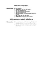 Konspekts 'Vingrojumi', 2.