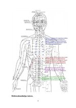 Referāts 'Elektropunktūra', 6.