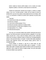 Konspekts 'Izcilākie jūrasbraucēji un viņu sasniegumi no 15. līdz 17.gadsimtam', 5.