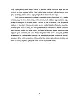 Konspekts 'Izcilākie jūrasbraucēji un viņu sasniegumi no 15. līdz 17.gadsimtam', 6.