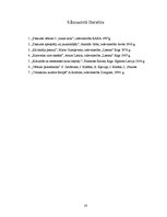 Konspekts 'Izcilākie jūrasbraucēji un viņu sasniegumi no 15. līdz 17.gadsimtam', 16.