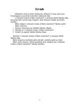 Referāts 'Leksikas īpatnības I.Leimanes romānā "Vilkaču mantiniece”', 3.