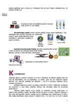 Konspekts 'Suvenīri un dāvanas radiniekiem un ģimenes locekļiem no ārzemju brauciena', 7.