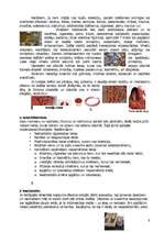 Konspekts 'Suvenīri un dāvanas radiniekiem un ģimenes locekļiem no ārzemju brauciena', 9.