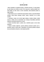 Referāts 'Pirmsskolas izglītības iestāde kā socializācijas aģents', 6.