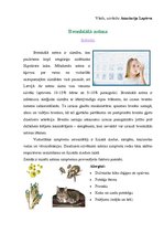 Konspekts 'Bronhiālā astma, fizioterapijas iespējas', 1.