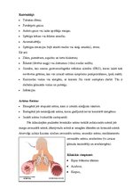 Konspekts 'Bronhiālā astma, fizioterapijas iespējas', 2.