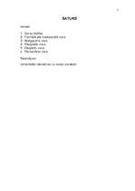 Referāts 'Varas veidu analīze un pielietojums', 2.